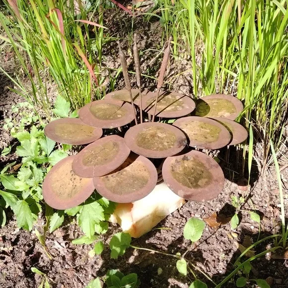 Vintage patina metal cattails and lily pads